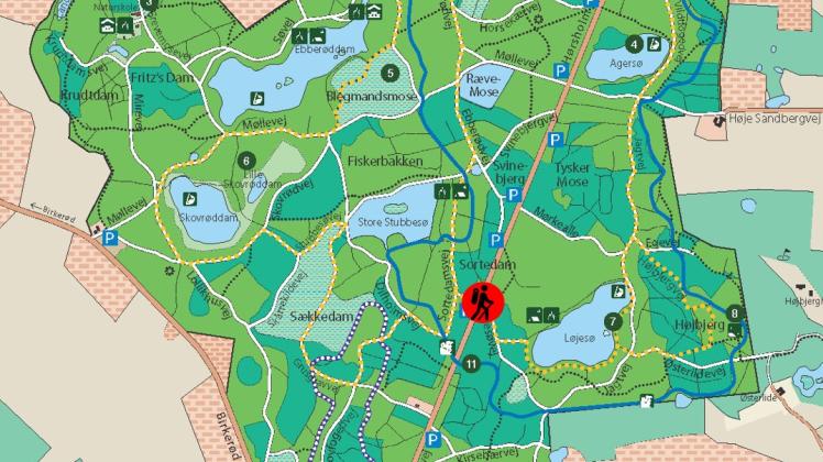 Kort over hvor gående kan krydse Hørsholm Kongevej