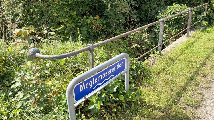 Vejbro over Maglemoserenden skal renoveres