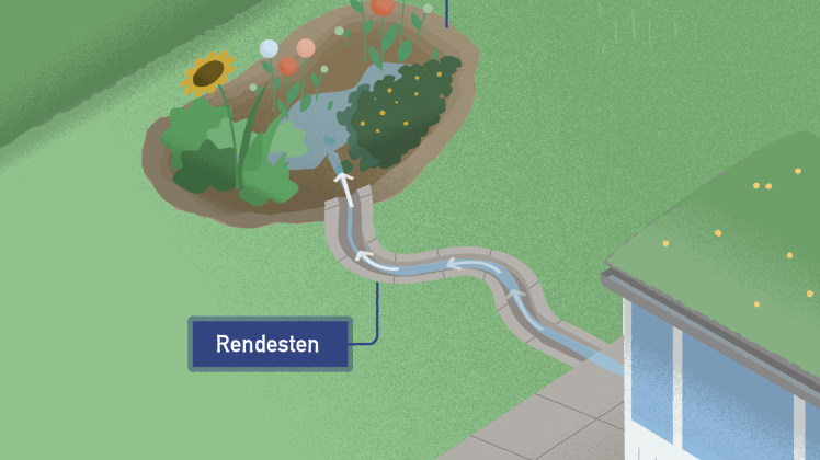 Regnvandshåndtering - forsinke