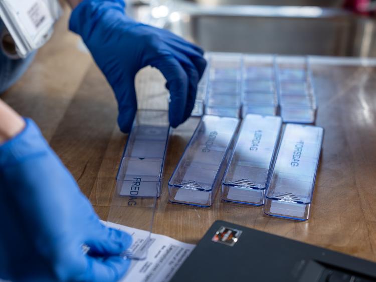 Medicindosering i hjemmeplejen