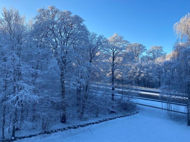 Vinterbillede - Sne i Rudersdal