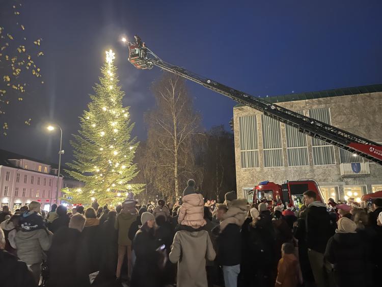 Et stort juletræ foran rådhuset bliver tændt. Der er mange mennesker, der kigger på.