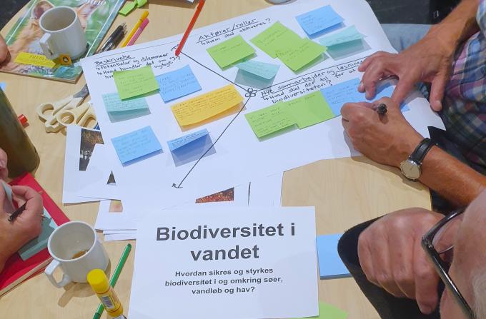 Biodiversitetsworkshop, biodiversitet i vand, 2
