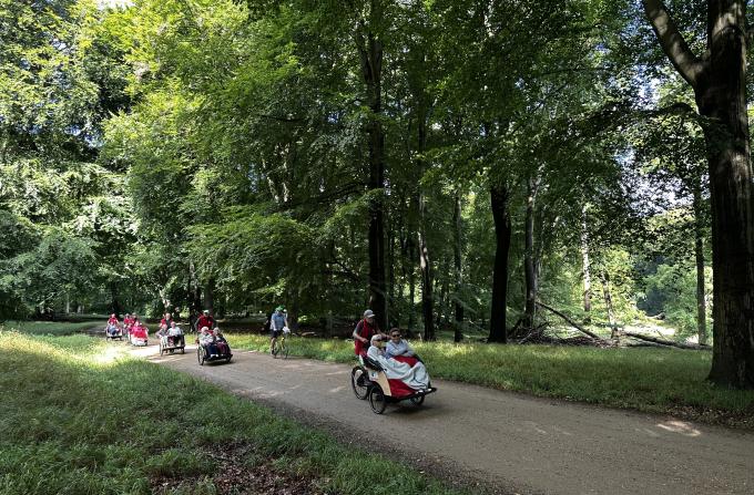Cykeltur gennem skoven