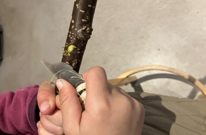 Snitter med flintesten