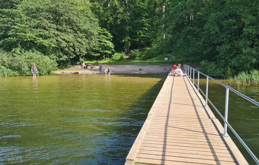 Sjælsø m. alger og badebro